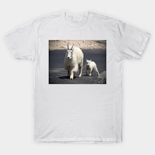 Mountain Goats T-Shirt